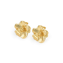 Load image into Gallery viewer, caterina earrings
